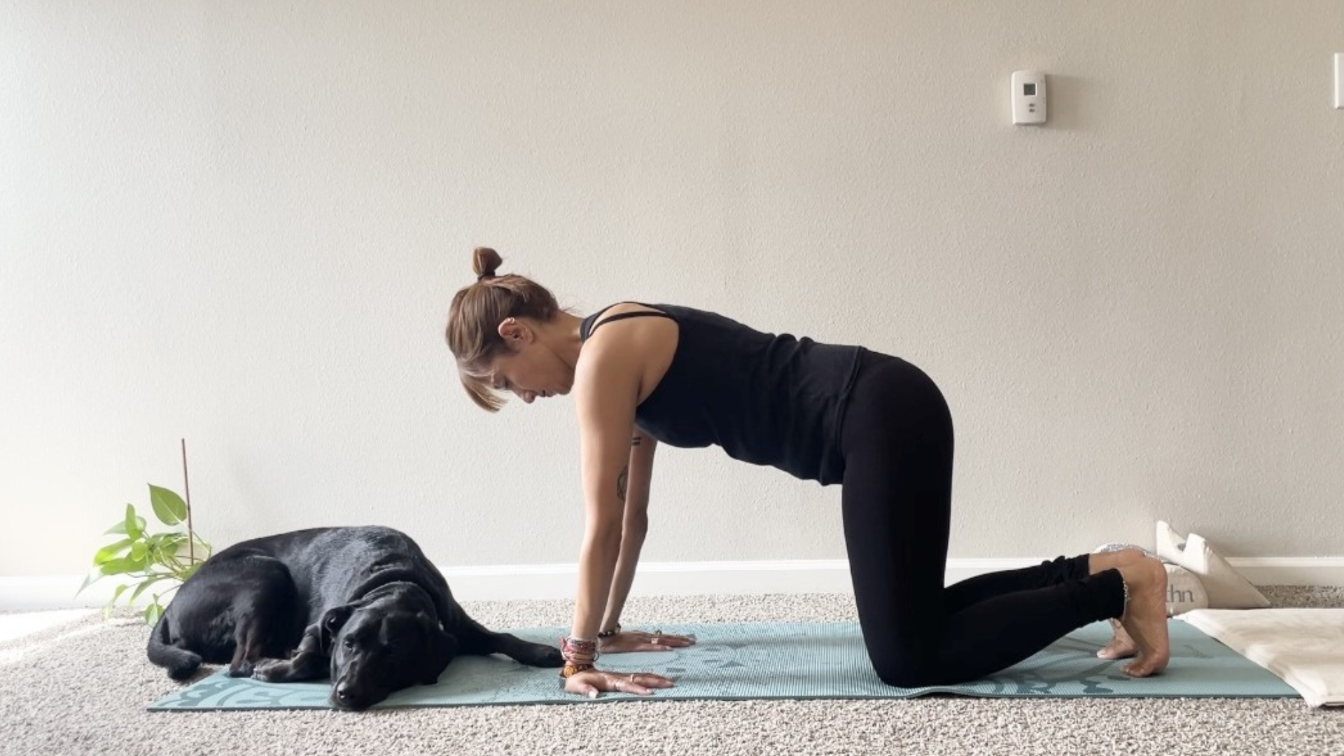 Woman kneeling on a yoga mat with her hands on the mat and the fingers pointing back toward her knees