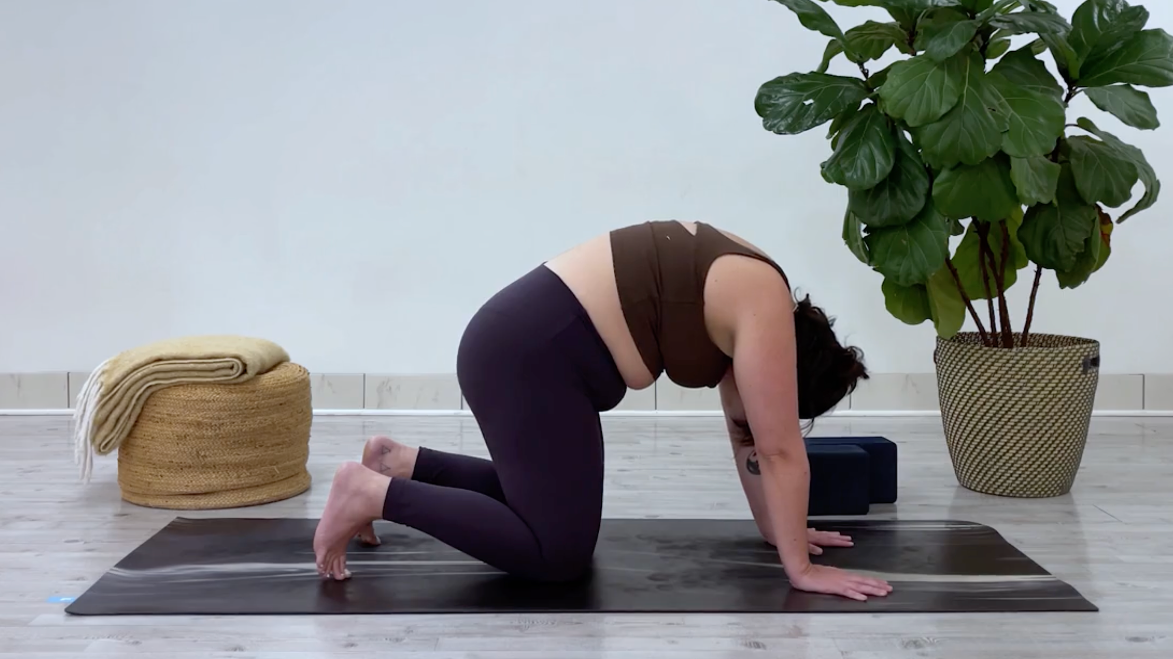 Yoga teacher Taylor Lorenz in Cat Pose, part of her yin yoga for stress routine