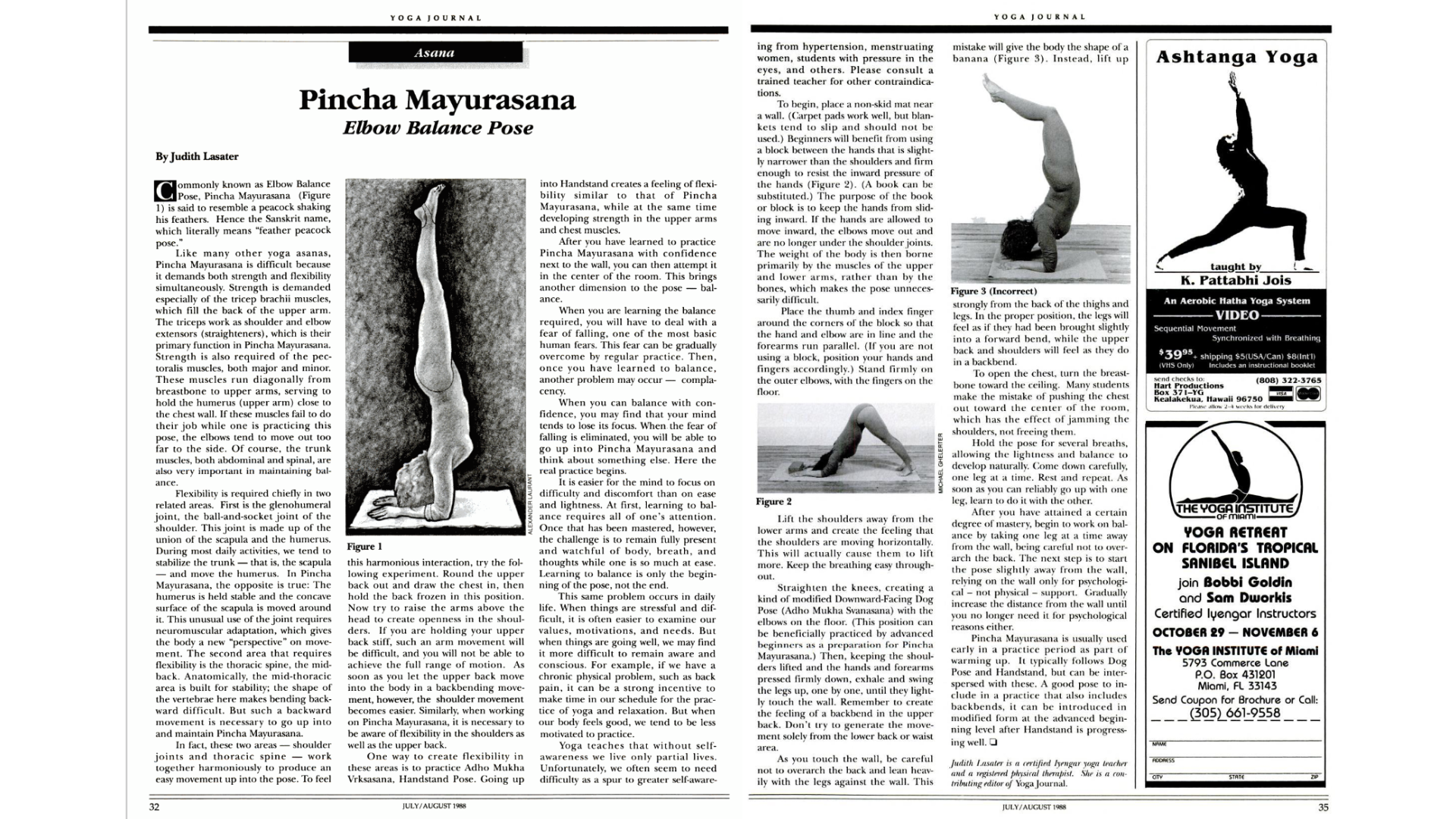 Archive Yoga Journal article exPloring Pincha Mayurasana or Elbow Stand Pose