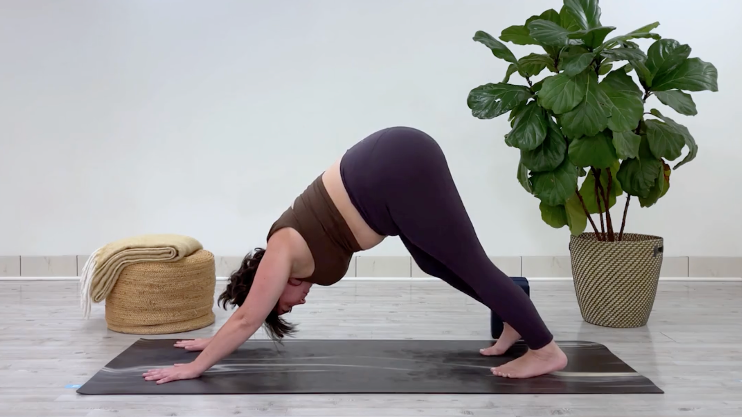 Taylor Lorenz in Downward-Facing Dog