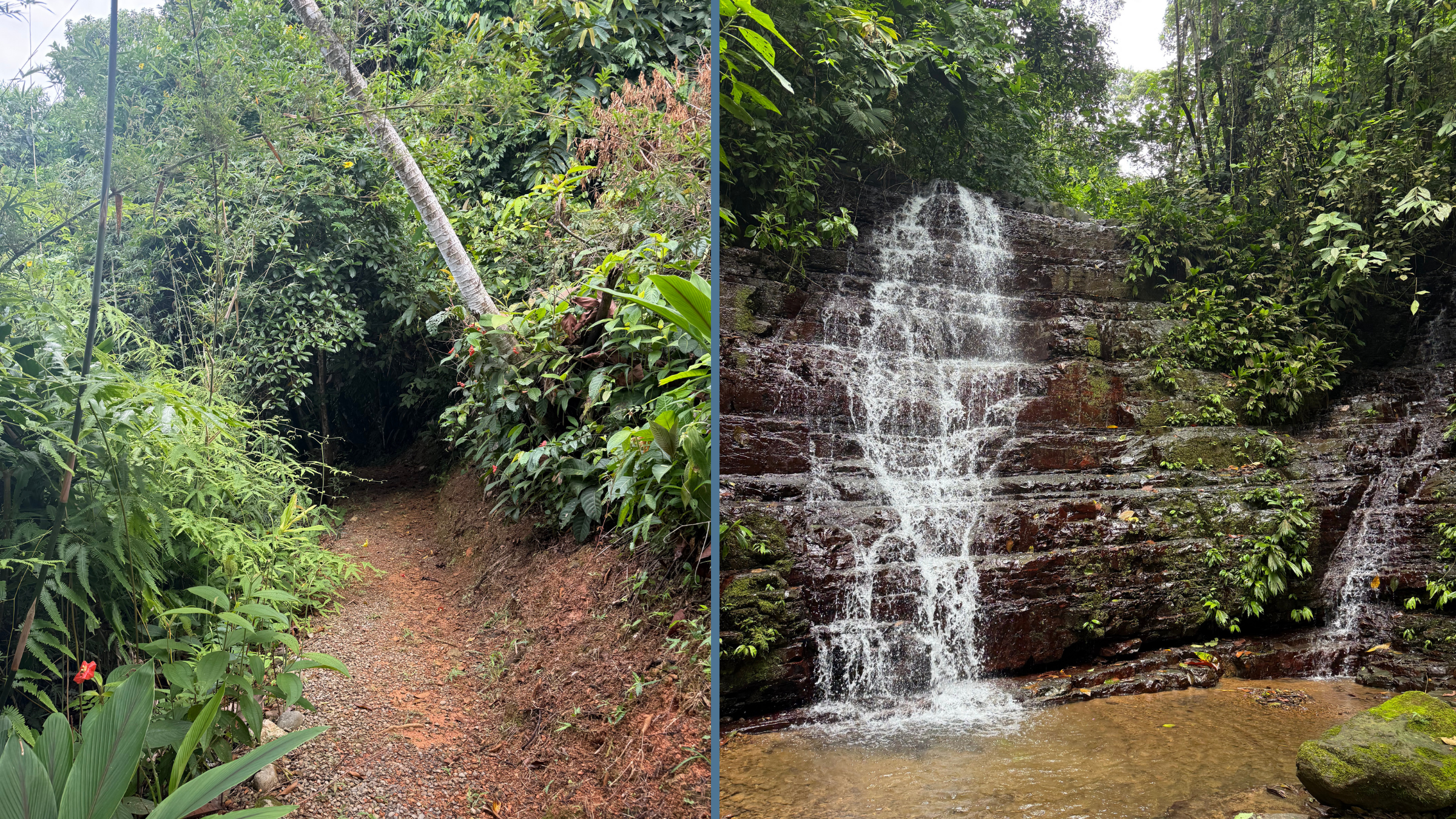 The Most Important Things I Packed for a Costa Rica Yoga Retreat