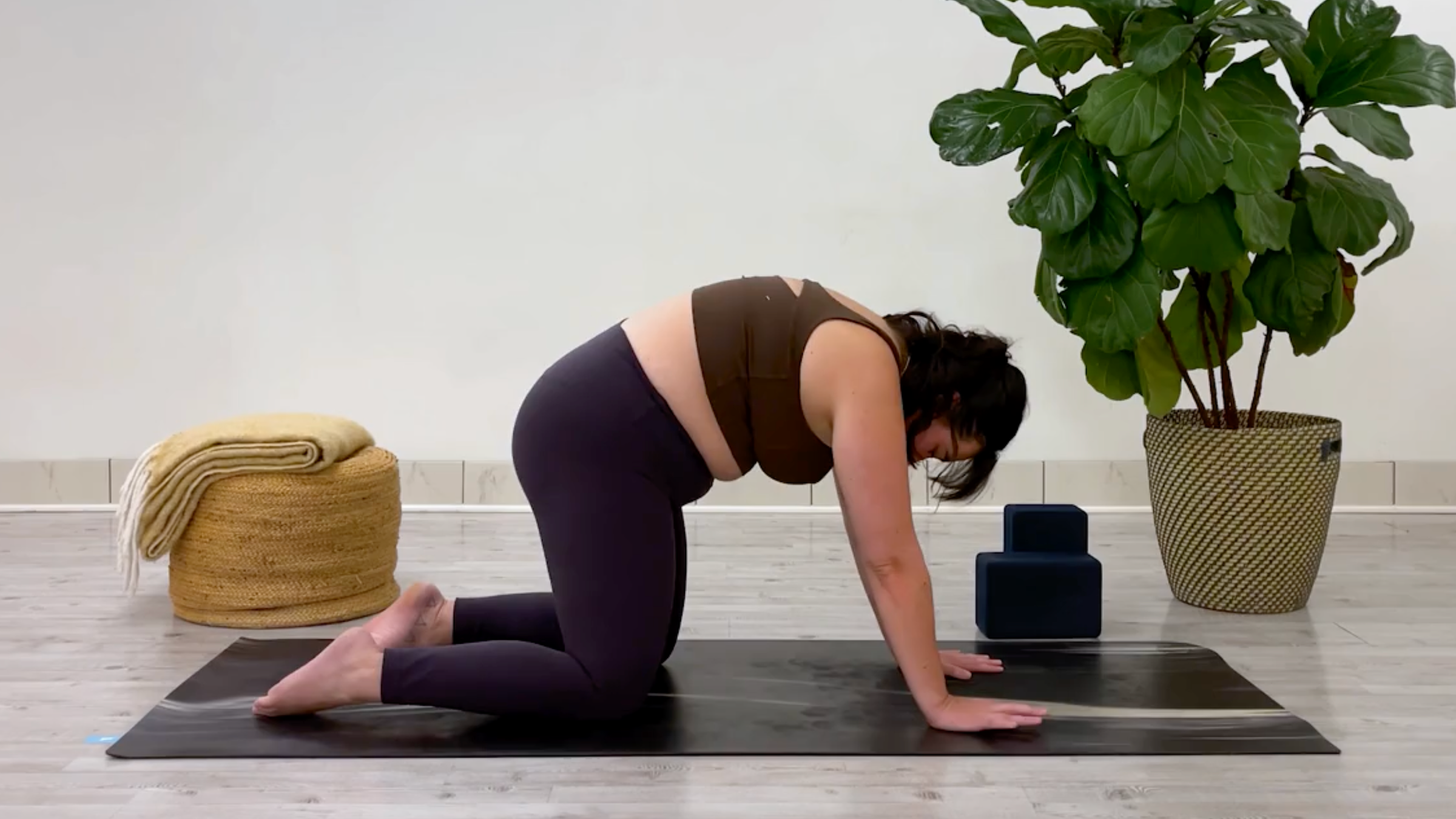 Yoga teacher Taylor Lorenz in Cat Pose, part of her side stretch practice