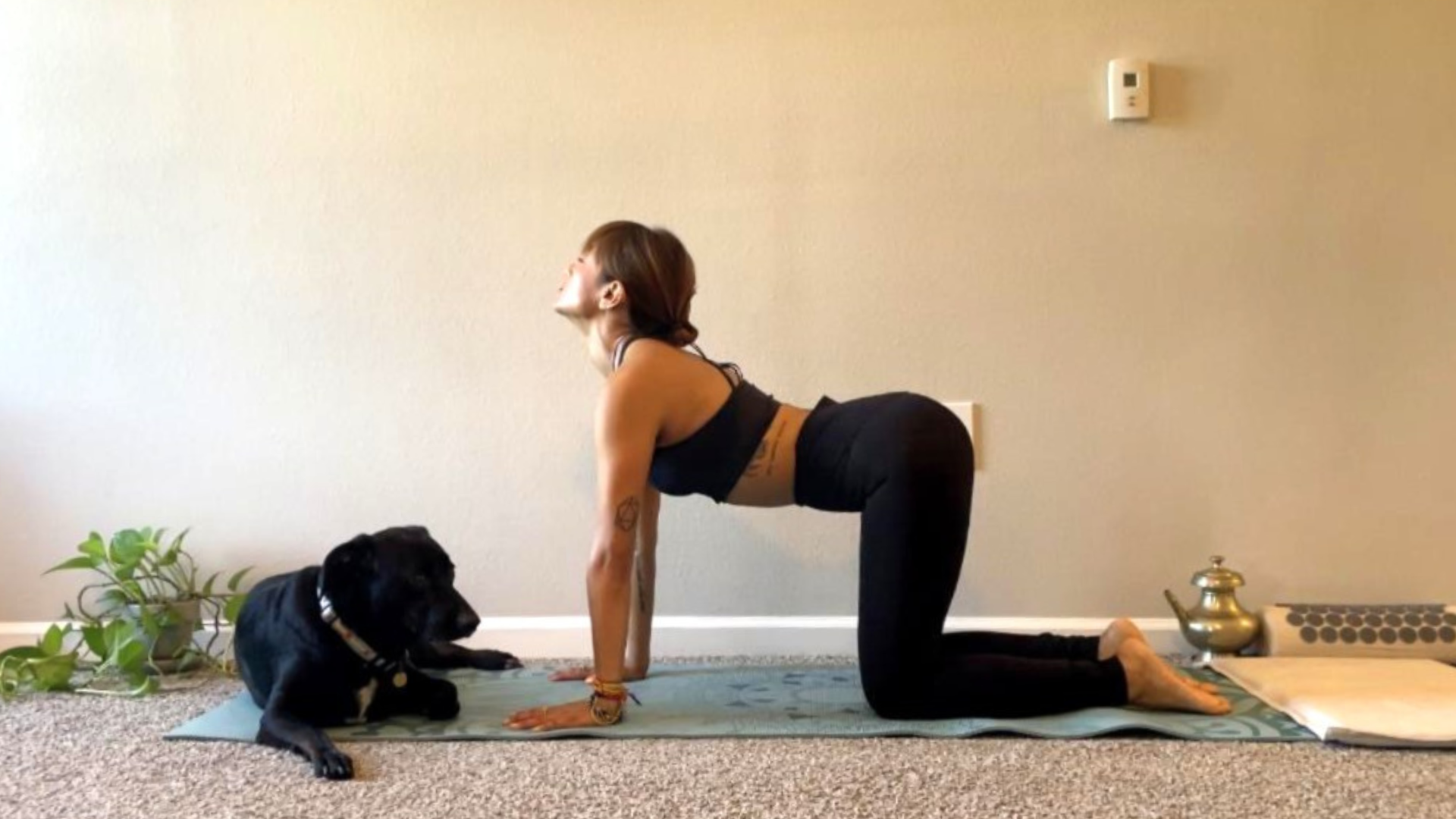 10-Minute Slow Yoga for Anxiety