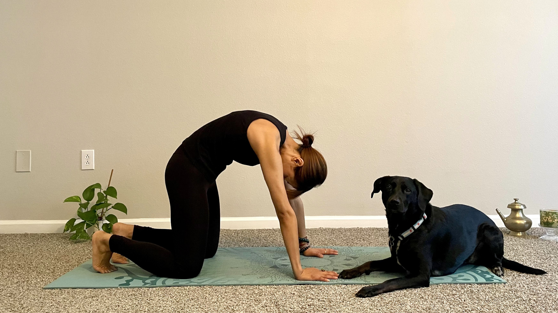 10-Minute Slow Yoga for Anxiety