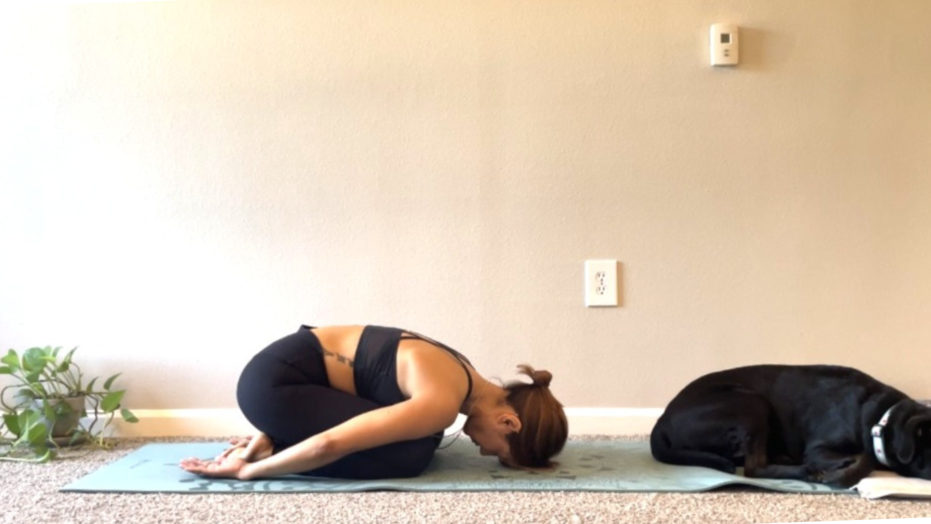 10-Minute Slow Yoga for Anxiety