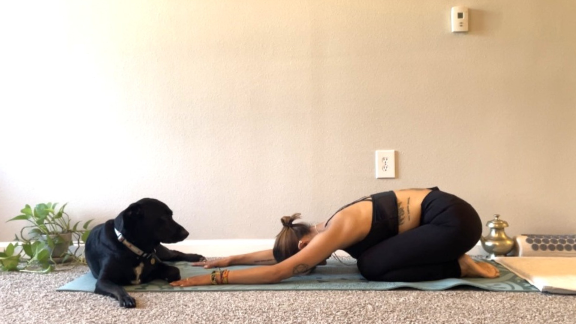 10-Minute Slow Yoga for Anxiety