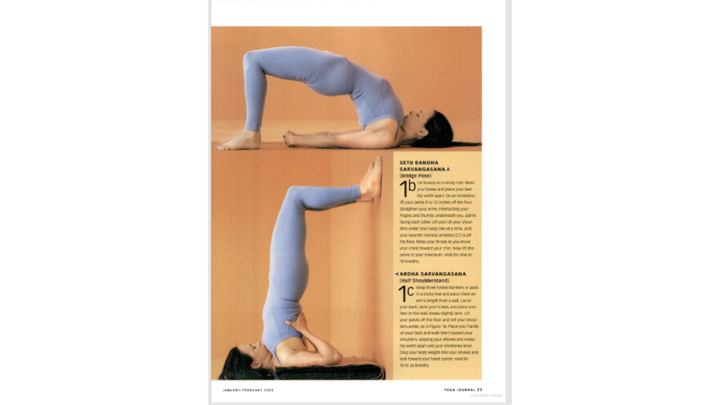 Woman practicing preparatory poses for Shoulderstand including Bridge Pose.