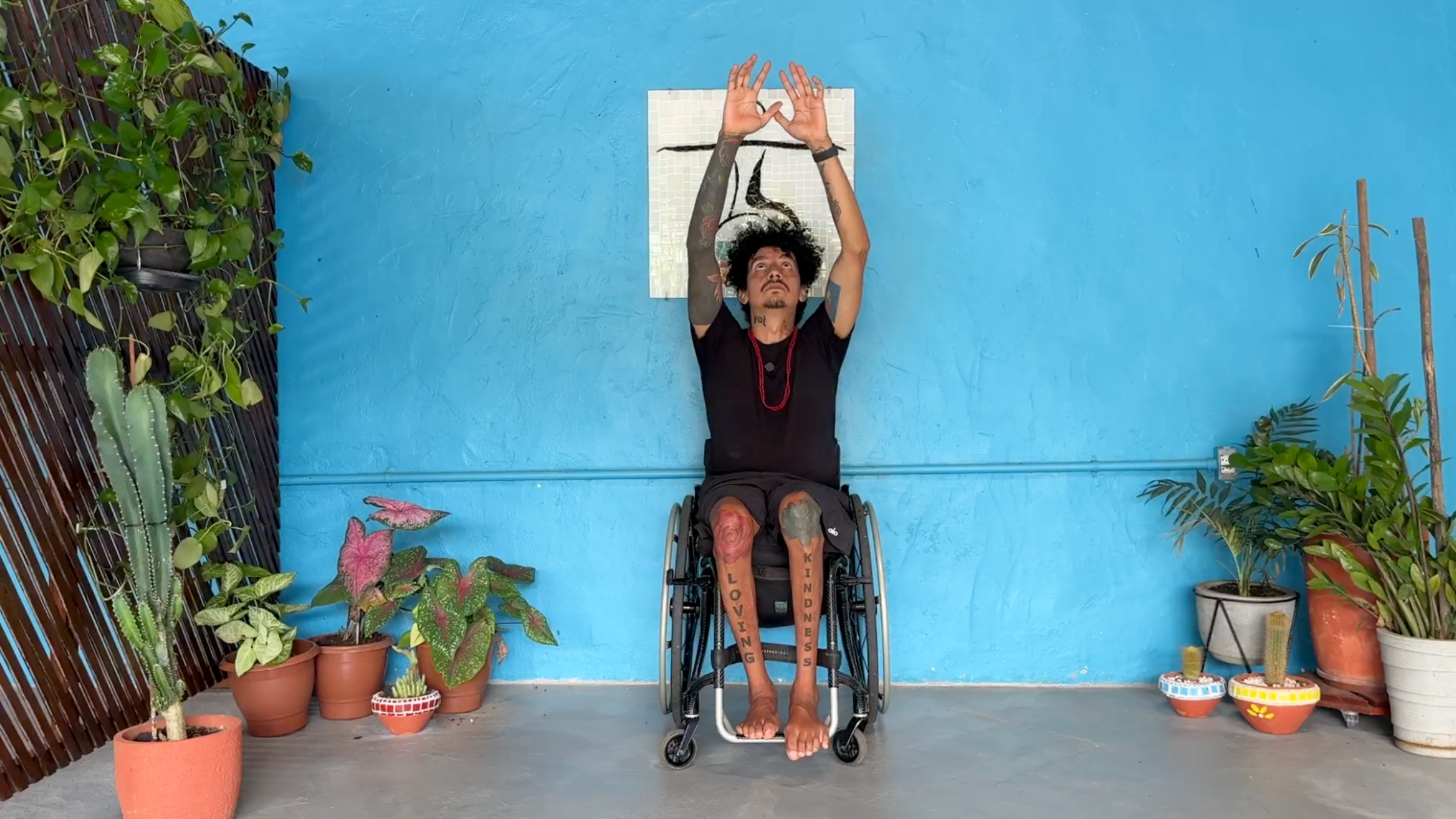 man seated in wheelchair in Sun Breaths pose with arms overhead, palms open, with eyes lifted toward hands, in front of blue wall with plants around the room