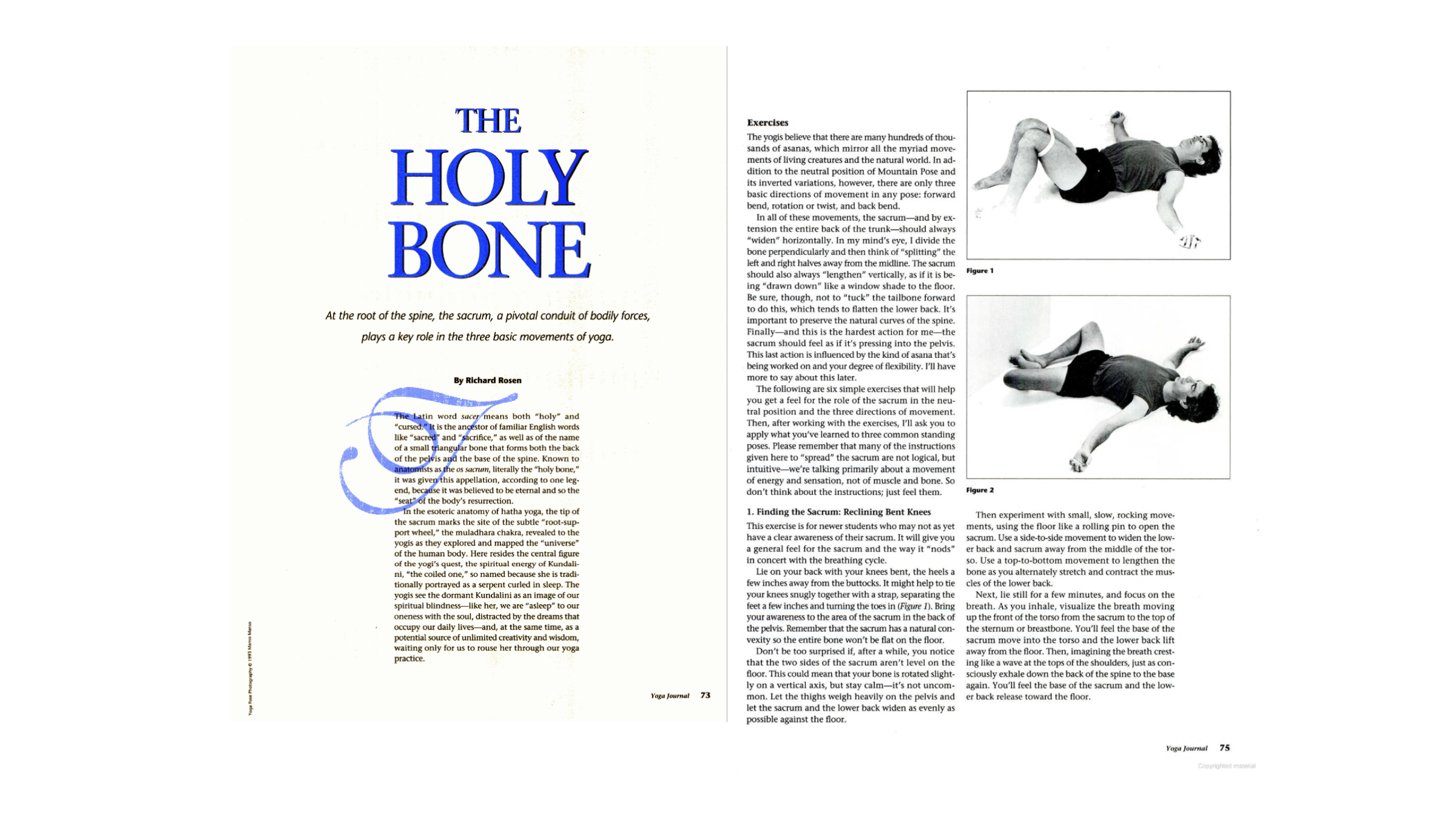 What, Exactly, Is the Sacrum Bone and Why Does It Matter?