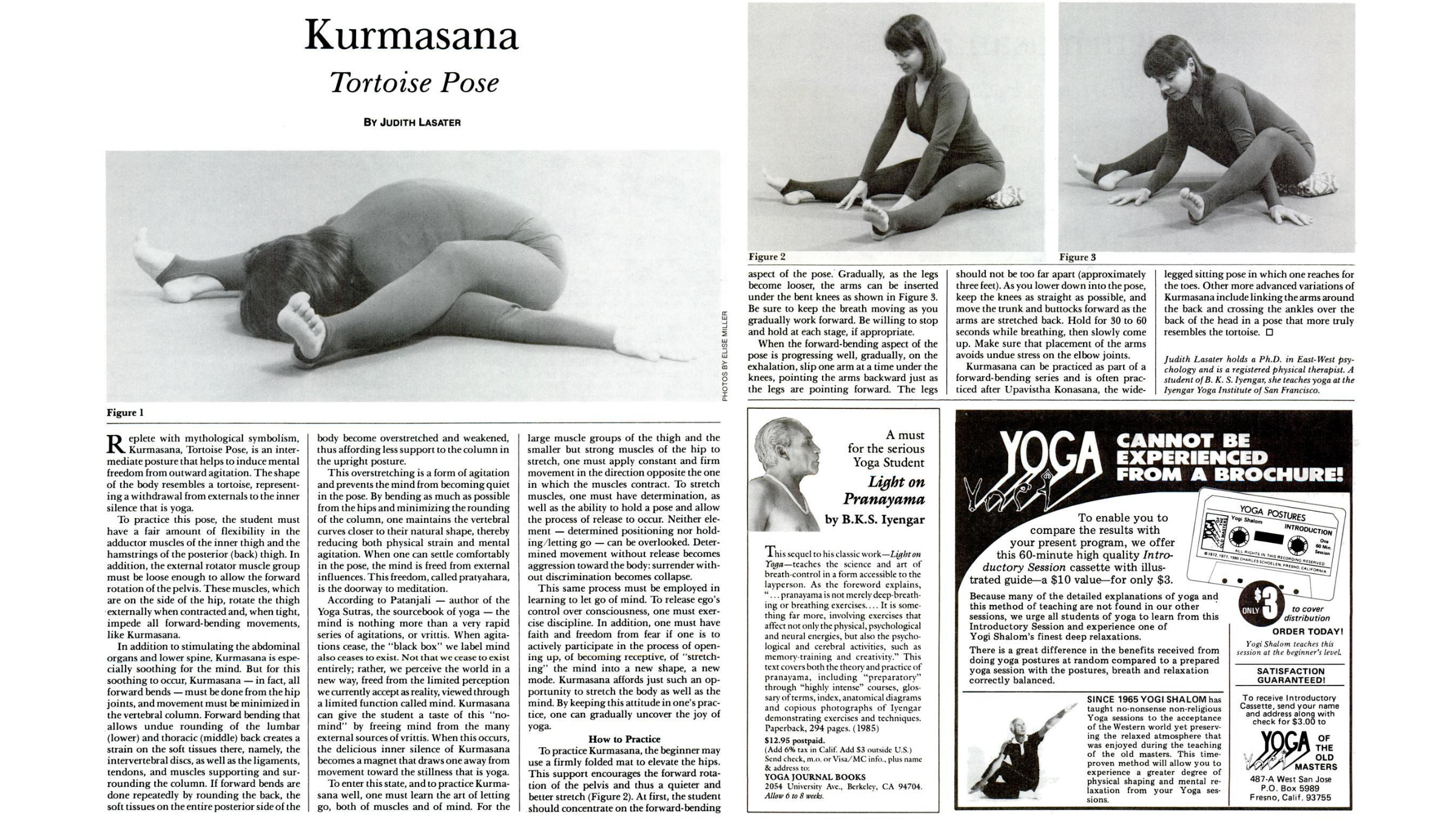 Diagrams of a person in Tortoise Pose, a challenging seated forward fold
