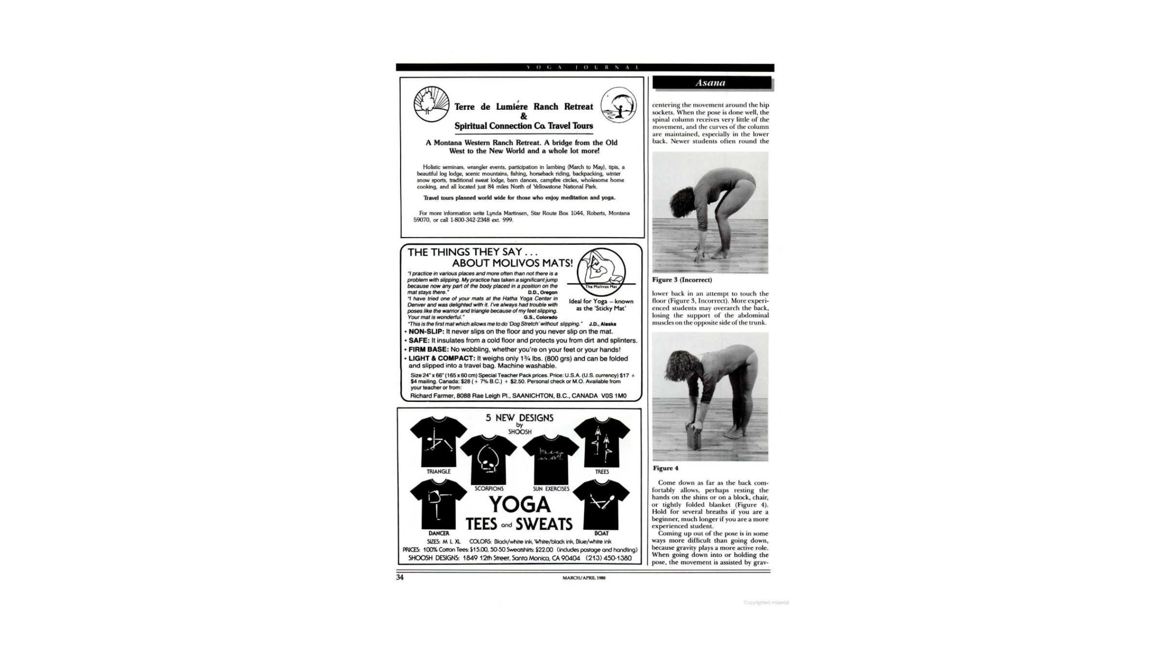 screenshot of black and white 1988 Yoga Journal article with article and photos of Uttanasana along with yoga-related ads