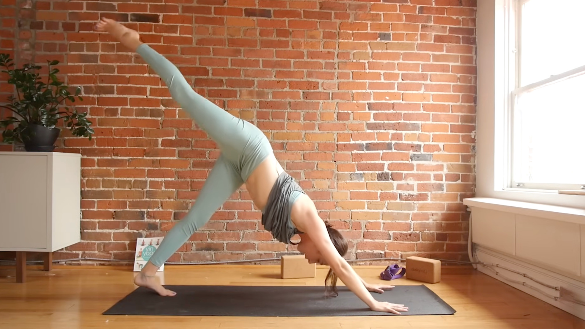 woman in yoga clothes on yoga mat in front of brick wall in Three-Legged Dog pose with hands and left foot on mat, hips raised high with flat back, and right leg extended long in line with torso and pointed toes