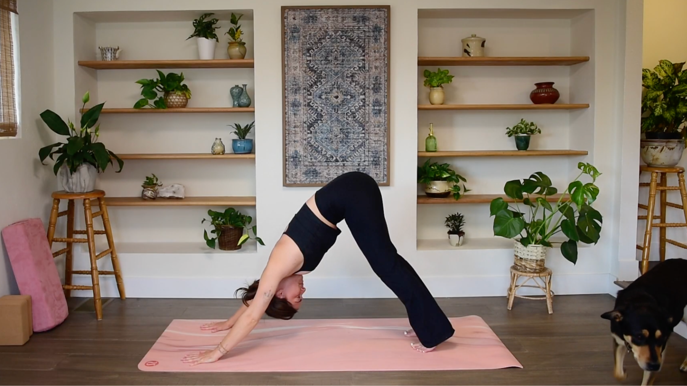 Caitlin K'eli pressing hands and feet into the mat, lifting hips high into an inverted V-shape for Downward-Facing Dog.