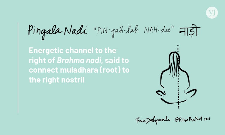 An illustrated card with the definition of the Sanskrit word "Pingala Nadi"